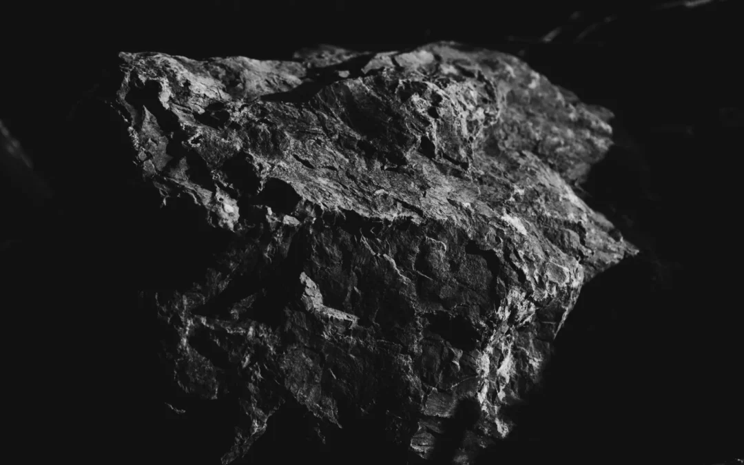 5 alternatives au noir pur (#000000)